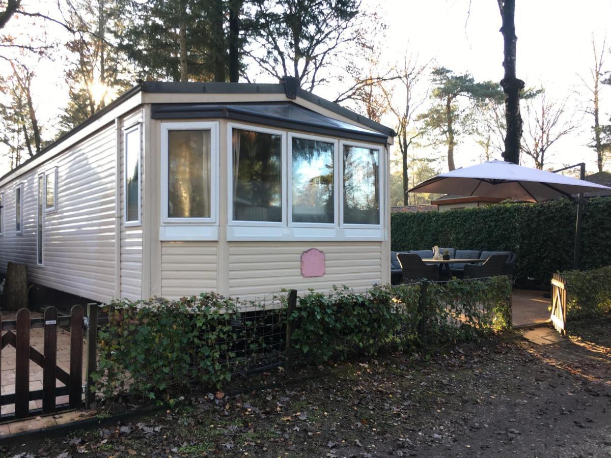 Prachtige Luxe Chalet Op De Veluwe Nabij Hoenderloo Dış mekan fotoğraf
